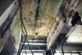 Mold Remediation for Rental Properties in Noyack, NY